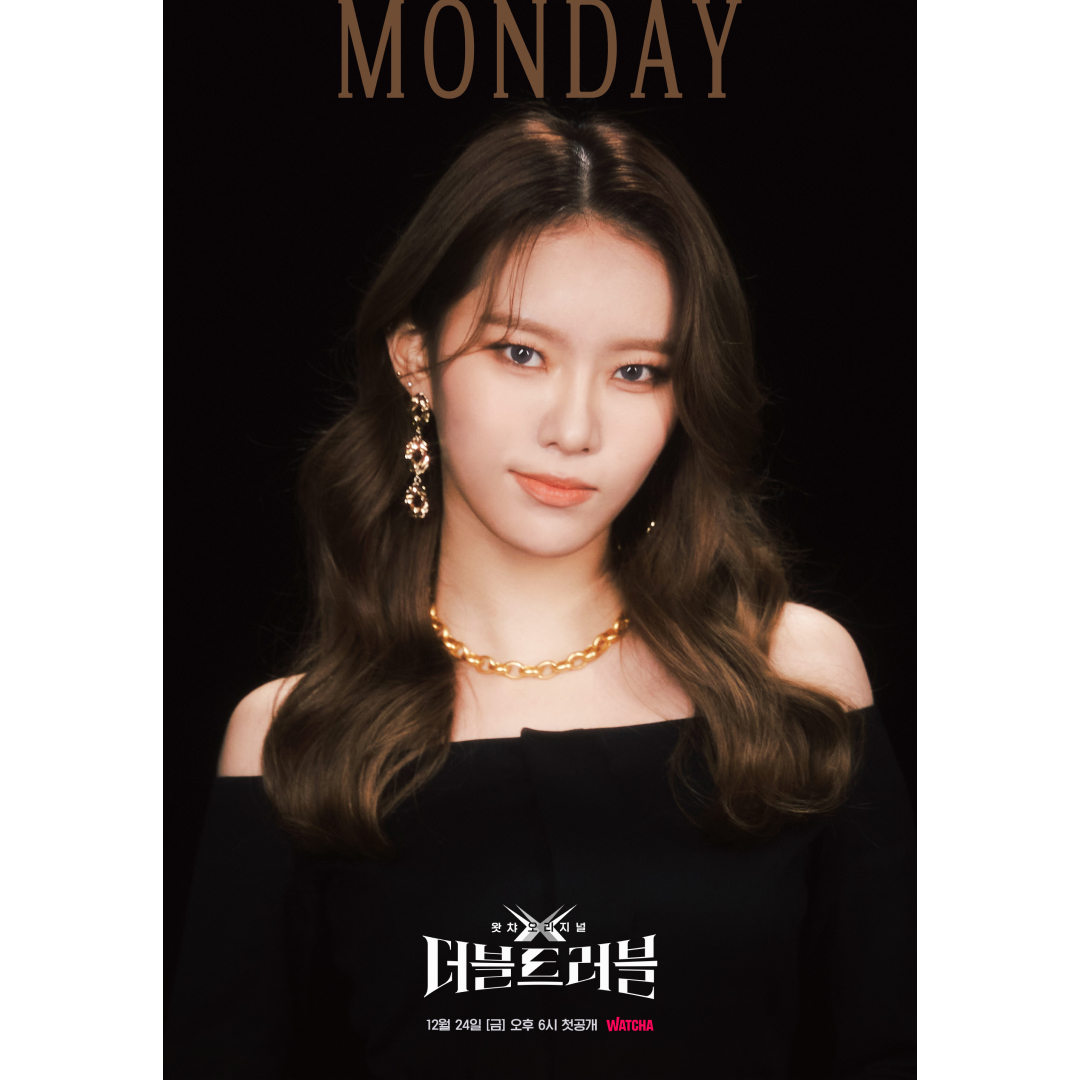 Double Trouble Artist poster