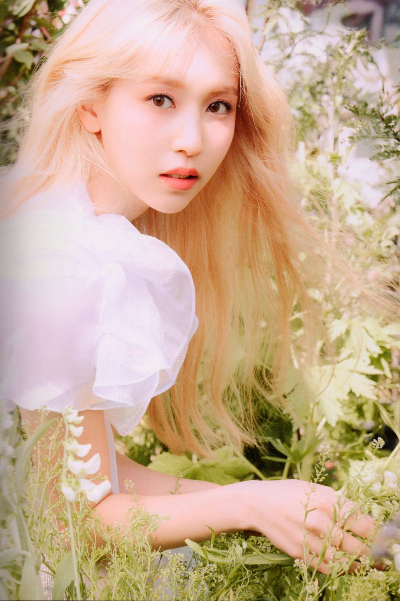 Twice - More and More Scans