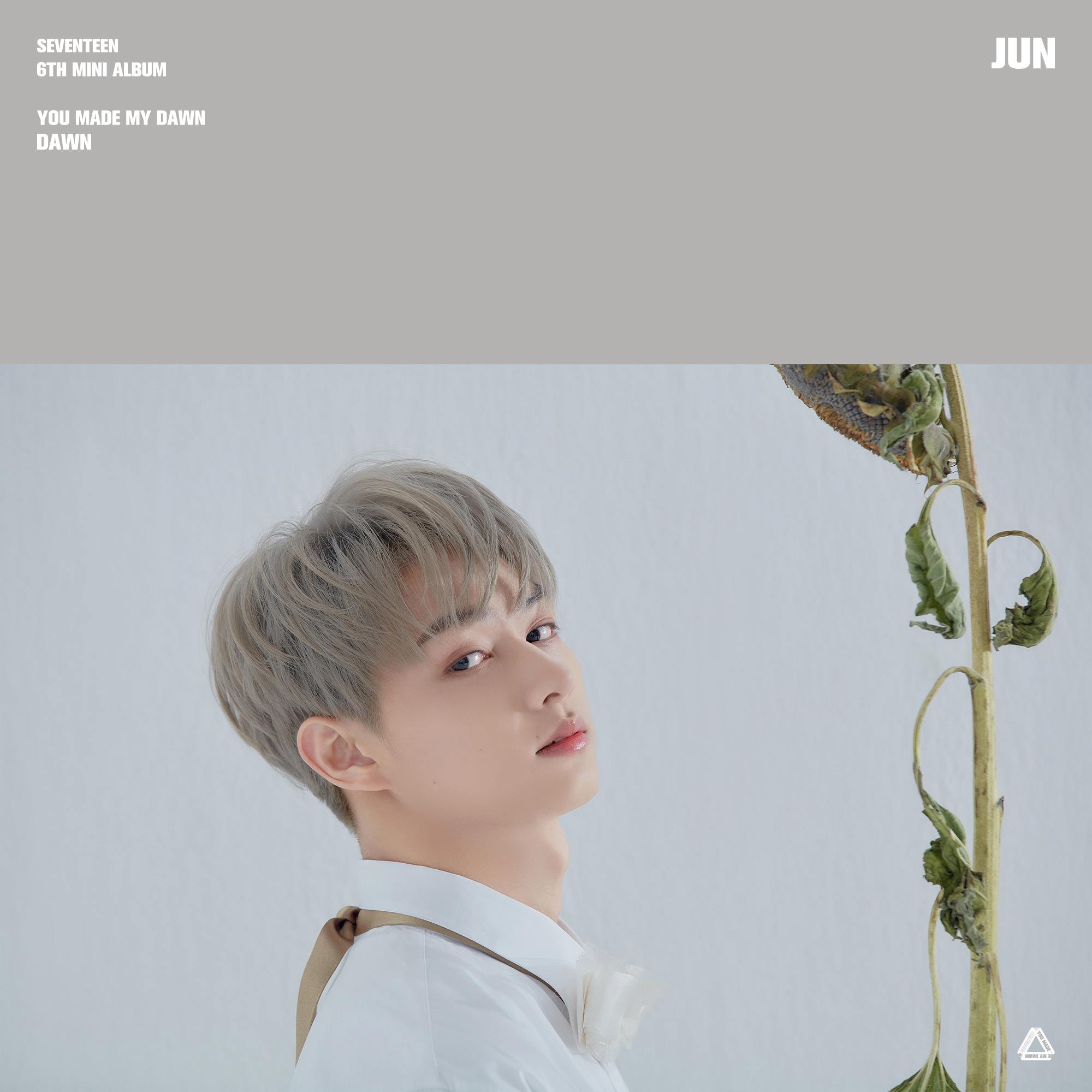 Seventeen, 6th mini 'You made my dawn'