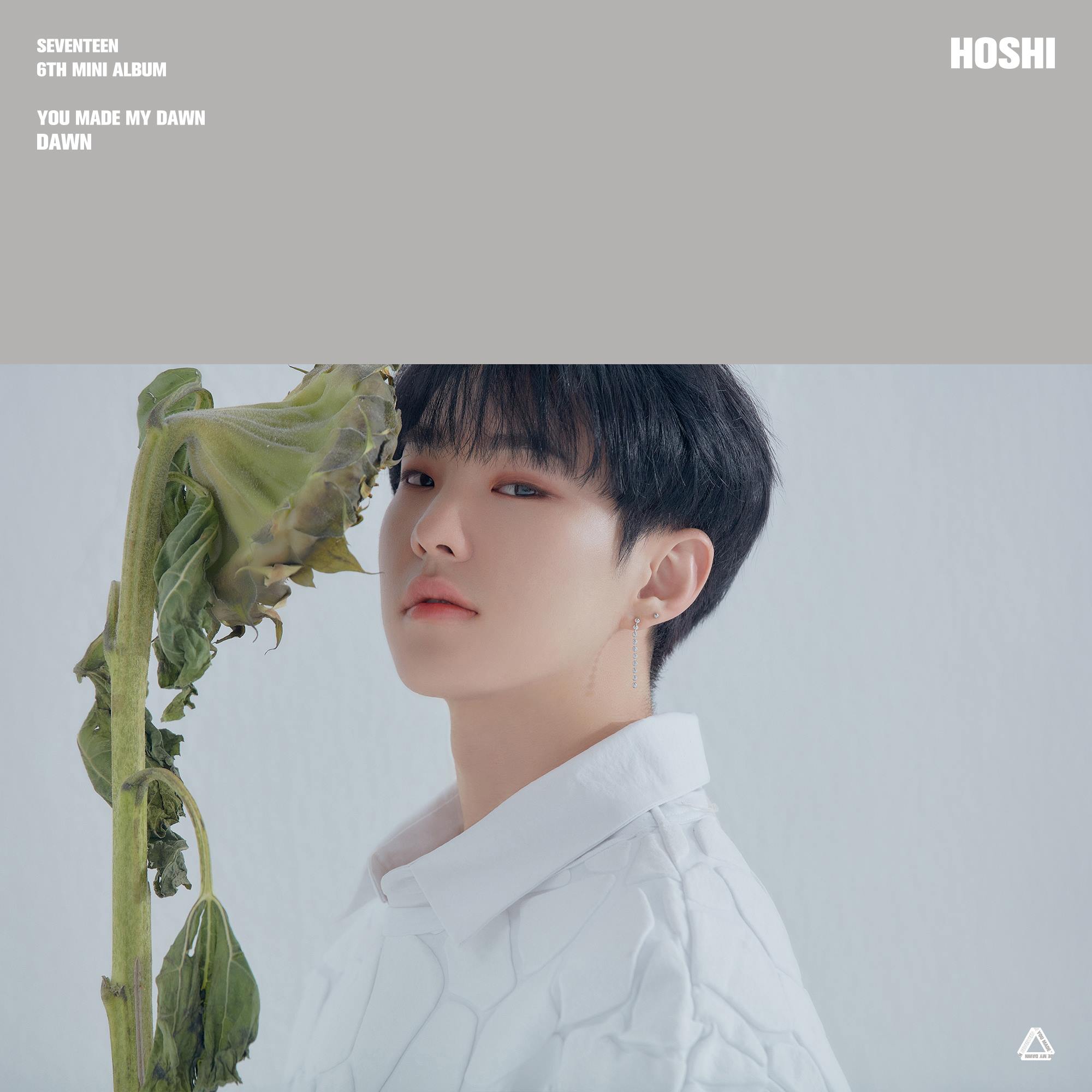 Seventeen, 6th mini 'You made my dawn'