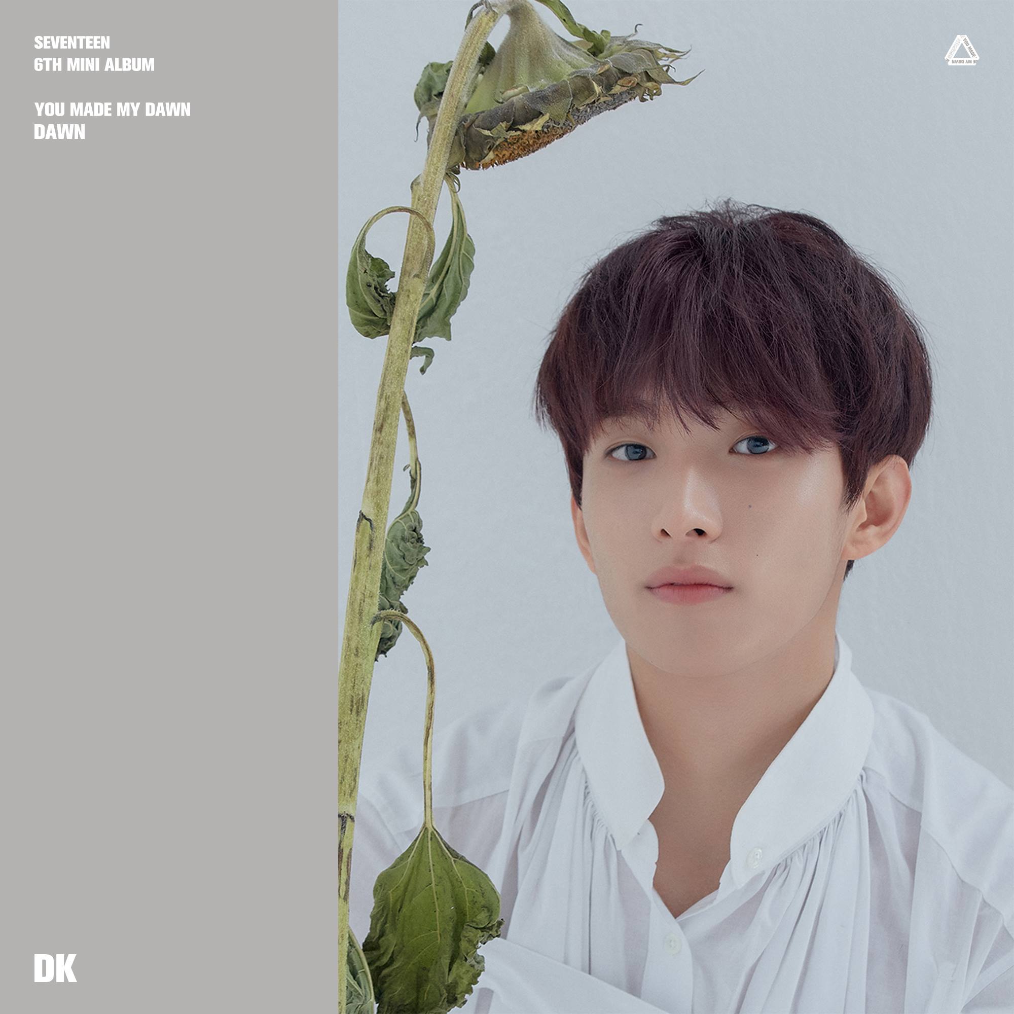 Seventeen, 6th mini 'You made my dawn'