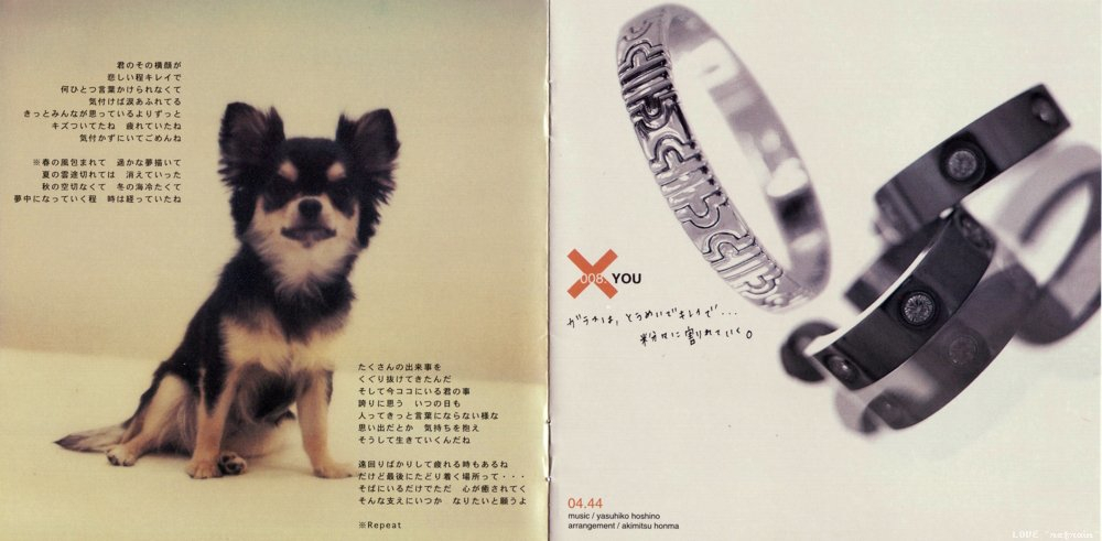 Ayumi Hamasaki - a song for x x packaging