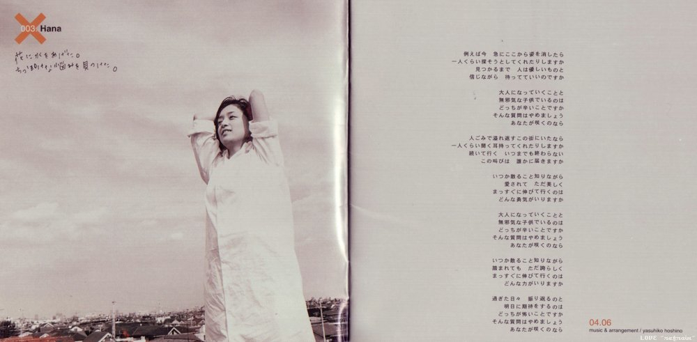 Ayumi Hamasaki - a song for x x packaging