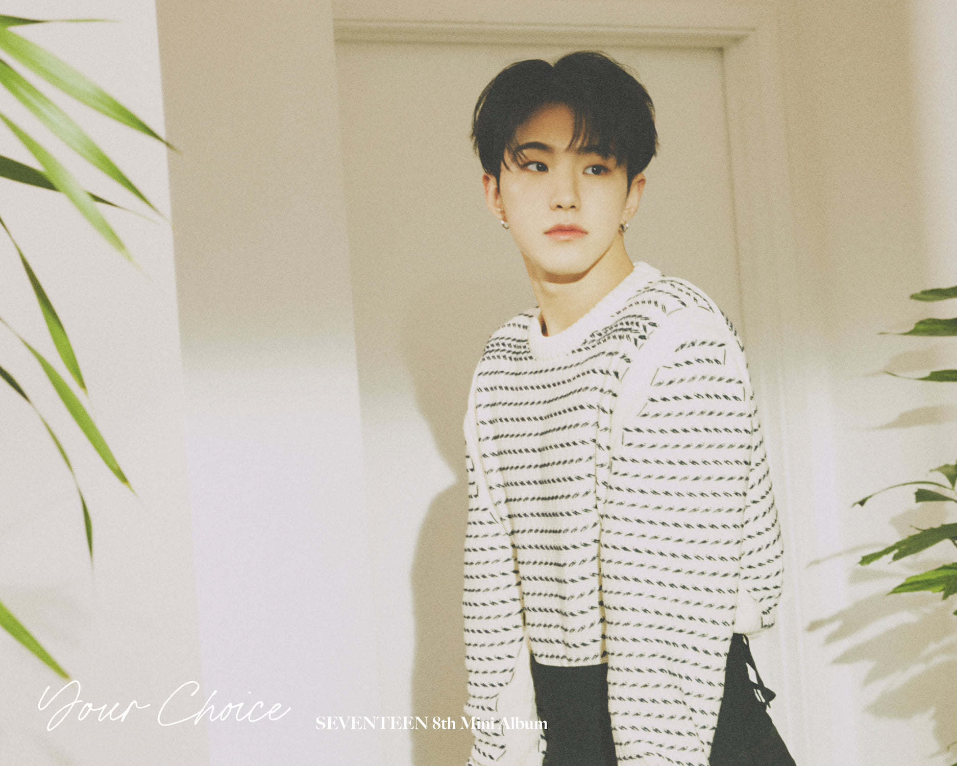 Seventeen, Your Choice