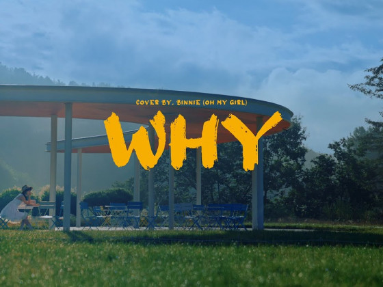 Oh My Girl's Binnie special cover MV of Taeyeon's 'Why'