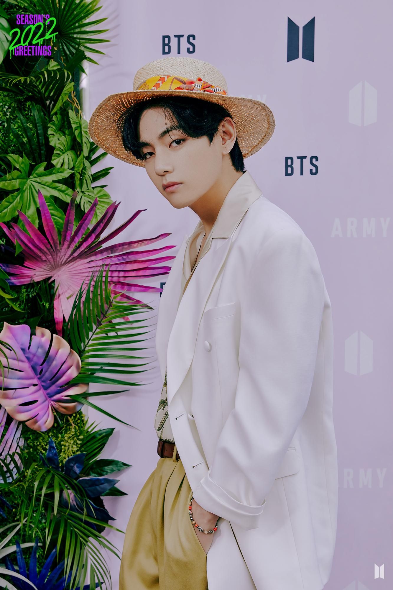 BTS V 2022 SEASON'S GREETINGS Preview Cuts #2