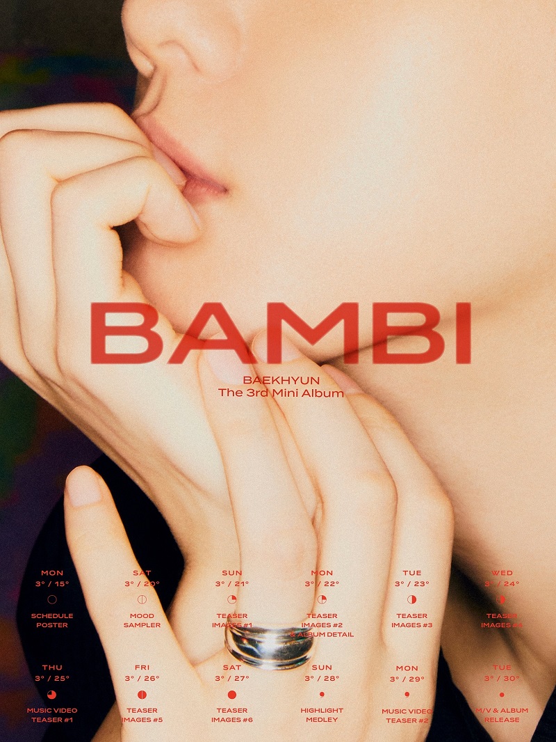 BAEKHYUN BAMBI 3/30!