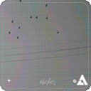 3630-v-winter-bear-gif