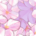 7214-hand-drawn-cherry-blossoms-png